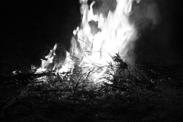 Fire in B&W